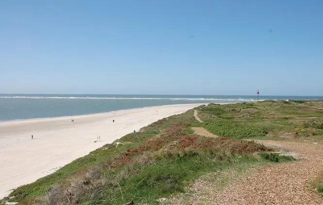 Book et ophold på et feriecenter i Blåvand_130-P32351